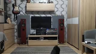 Pioneer a-a6, Seas ER18RNX, 27TBCF/G DIY Speakers. Dac Fx Audio X3 PRO in opa LM4562