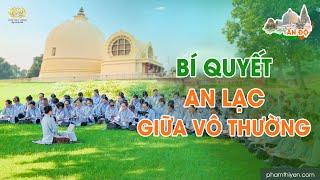 Đời vô thường - Đối diện với tâm bất thiện để giảm trừ phiền não và an lạc