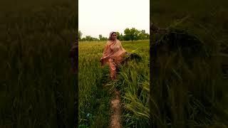 Pakistan village life #pakfamilyvlog #vlog #shortvideo