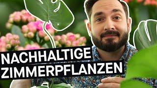 Monstera, Bogenhanf & Co.: Wie ökologisch sind die Zimmerpflanzen im Urban Jungle?