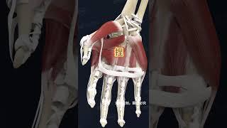 3D动画解析玩手机加速的秘诀 #anatomy #3d #science#动画#人体