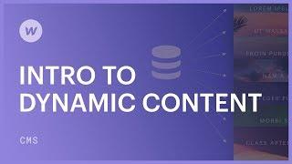Dynamic content for beginners - Webflow CMS tutorial
