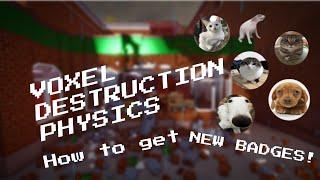 (NEW!) How to get all the secret badges in Voxel Destruction Physics