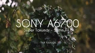 Free To Use | Sony A6700 TEST FOOTAGE | Super Takumar 55mm F1.8 M42 lens E mount K&F Concepts