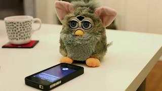 Siri VS Furby