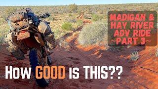 Followed by a DINGO!  | KTM 500 Madigan Track Desert Crossing Part 3