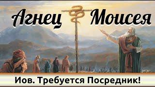 "Иов. Требуется Посредник!" - "Агнец Моисея". Дмитрий Герасимович.