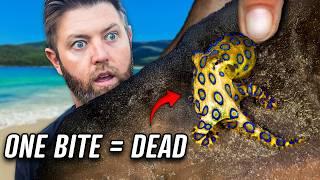 Australia's Top 5 Deadliest Animals