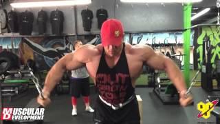 Dallas McCarver's Chest,  Shoulder & Triceps Workout | Muscular Development