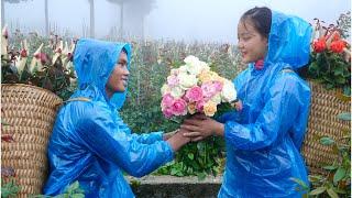 Love in a flower field: Cutting flowers in the rain in the first days of autumn