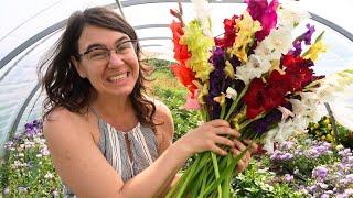 1000 Gladiolus Are Blooming!  Fun With Flowers