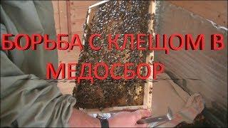  Борьба с клещом Варроа в медосбор 