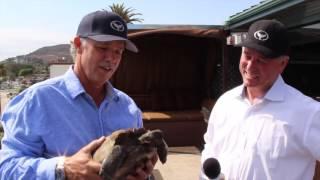 Private Tour of Wyland's Studio/Home