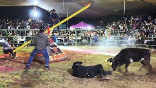 ¡EL CONCURSO DE MODA DEL JARIPEO! EL SUBE Y BAJA CON EL TORO