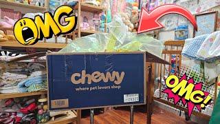 Box opening of RARE baby item! Thrift Store Giveaway! Let's go Thrifting! nlovewithreborns2011