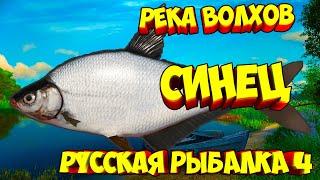 русская рыбалка 4 - Синец река Волхов - рр4 фарм Алексей Майоров russian fishing 4