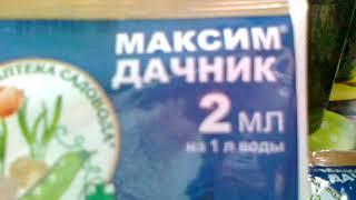 Препарат Максим- лучшее средство для лечения и профилактики почвенных инфекций