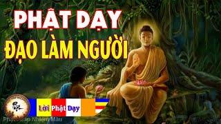 Lời Phật Dạy Về Đạo Làm Người rất hay P5 | Phật pháp Nhiệm màu