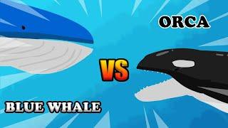 Blue Whale vs Orca | Underwater Fight Club [S1] | Animal Animation
