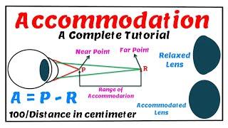 Accommodation- A Complete Tutorial