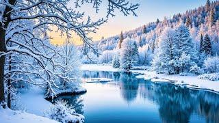 Beautiful Nature In Winter With Gentle Piano Music ️ Relaxing Piano Music For You ️