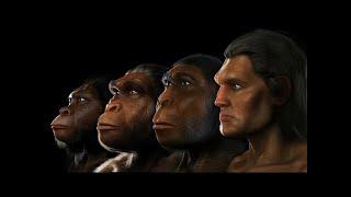 Human Evolution: Evidence of Our Ancestors - Science Documentary 2017