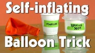 Self-inflating Balloon Trick | The Friday Zone