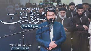 Go'zal Qiroat Yasin surasi || Ясин сураси || Surah Yasin || The most beautiful recitation