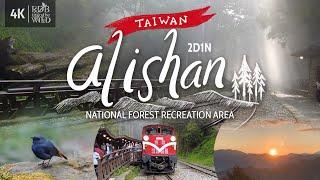 [Taiwan Vlog 1] Alishan National Forest | Scenic Forest Railway Ride | Sunrise | Chill Hike