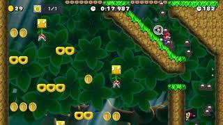 Super Mario Maker 2 - Ninji Speedruns - The 10-Coin of Deep Woods (21.596s)