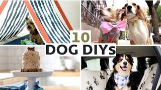 10 DIY Projects For Your Dog