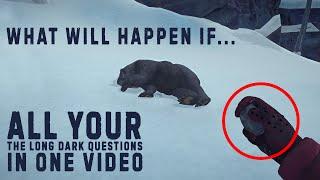 All your the long dark questions in one video