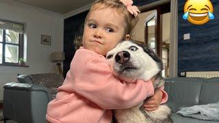 Husky Tries To Steal Babies Snacks! I Cannot Believe What Happened Next!!