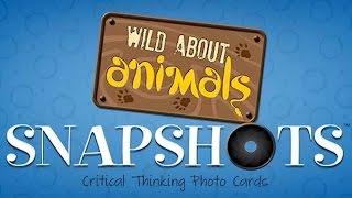 Wild About Animals by Learning Resources UK