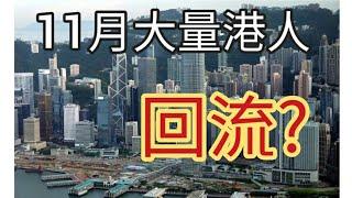 港人11月後回流?大量外資將會回港投資。2024年11月1日