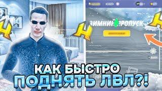 КАК ОЧЕНЬ БЫСТРО ПОДНЯТЬ УРОВЕНЬ в HASSLE ONLINE! 15 LvL ЗА ДЕНЬ! - RADMIR RP