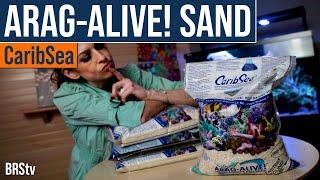 The One Saltwater Aquarium Live Sand Most Reefers Choose For Their Reef Tanks. CaribSea Arag-Alive