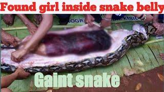 Gaint snake vore / girl found inside snake