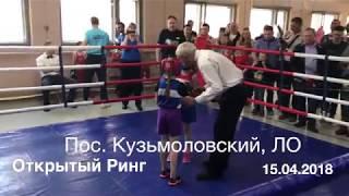 Бокс. Девочки 7 лет. Открытый ринг. Спб. Boxing Girls Russia, Saint-Petersburg.