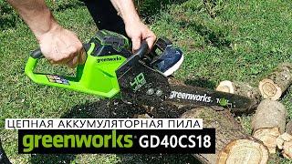 Обзор цепной аккумуляторной пилы G-Max 40v Greenworks GD40CS18