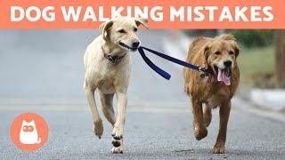 10 Common Mistakes When Walking Your Dog