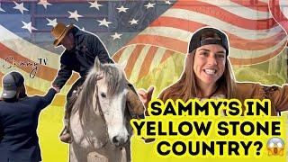 SAMMY'S IN YELLOW STONE COUNTRY? 