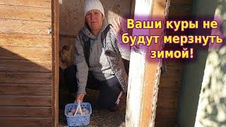 Курятник зимой без отопления. Почему мои куры не мерзнут!