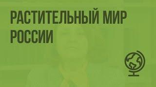 Растительный мир России. Видеоурок по географии 8 класс