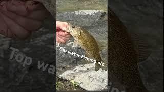 #fishing #bassfishing #bass #kickintheirbasstv