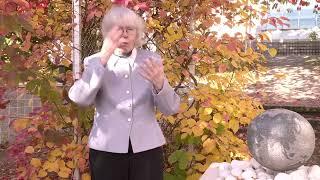 World Federation of the Deaf - Liisa Kauppinen