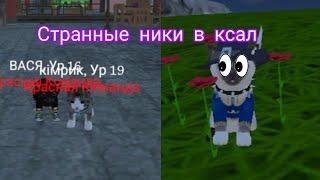 Странные ники в Cat Simulator Animal Life 1часть.