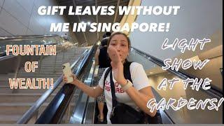 Singapore  Lights It Up - Gift Leaves Without Me!