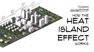 How the Heat Island Effect Works In Urban Design -  Sustainable Architecture Animated Glossary #15