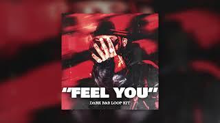 (FREE) Dark RnB Loop Kit "Feel You" PND Sample Pack (Bryson Tiller, PartyNextDoor, Ambient Loops)